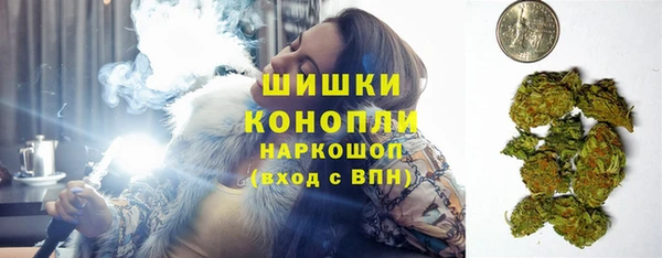 бошки Алексин