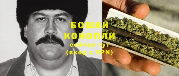бошки Алексин