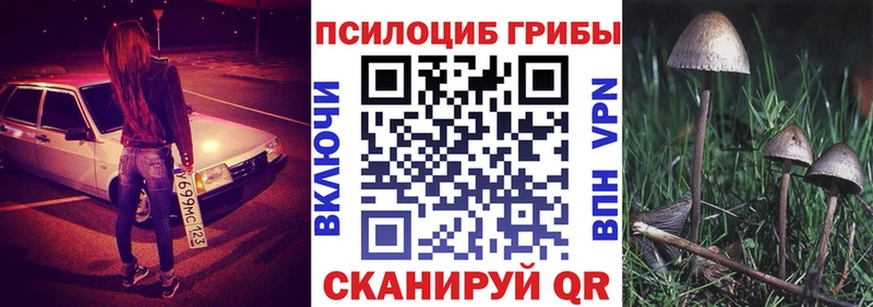 Псилоцибиновые грибы GOLDEN TEACHER  гидра маркетплейс  Оленегорск 
